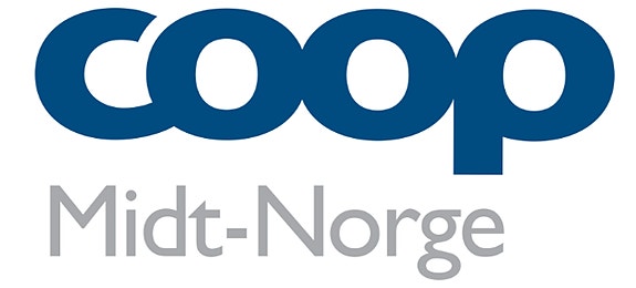 De viktigste ansvarsområdene og oppgavene vil være: logo