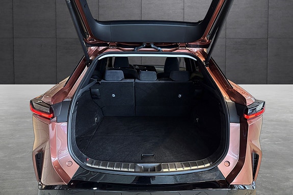 Lexus RZ450e 21 of 24