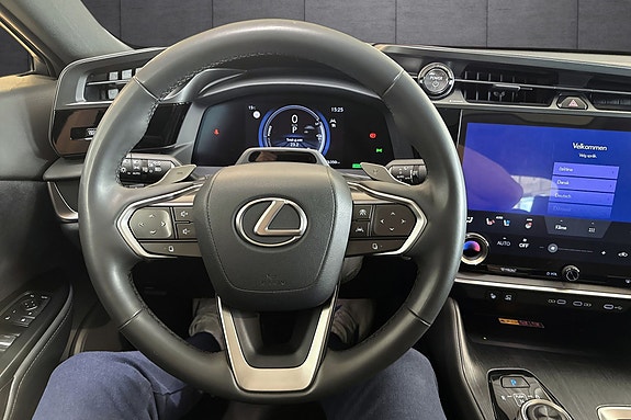Lexus RZ450e 10 of 24