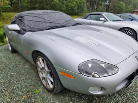 Jaguar XK 3 of 11