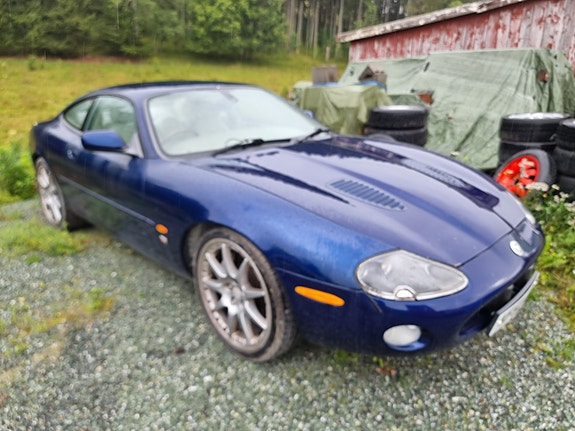 Jaguar XK 6 of 11