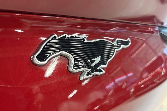 Ford Mustang Mach-E 15 hos Sommerseth