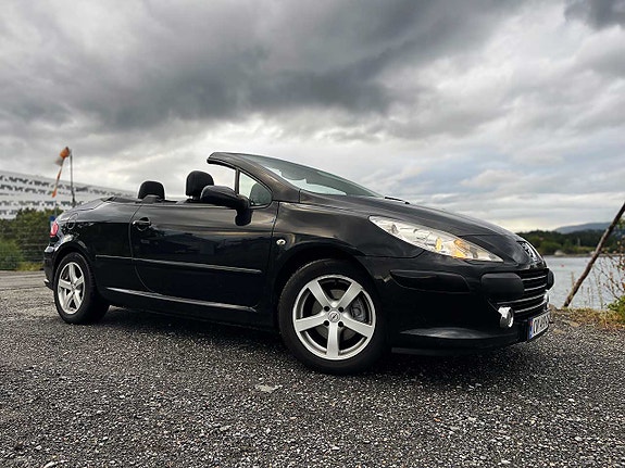 Peugeot 307 CC 19 of 19
