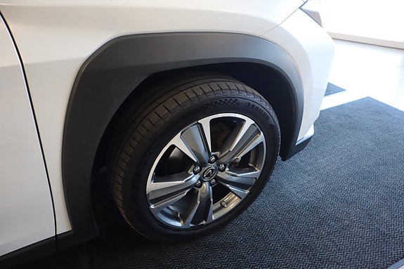 Lexus UX300e 14 of 30