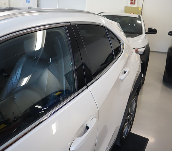 Lexus UX300e 9 of 30