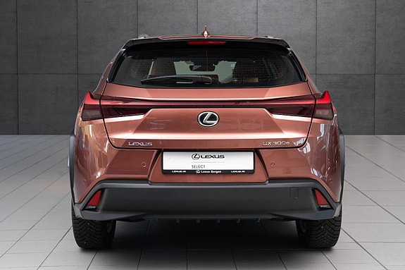 Lexus UX300e 4 of 5