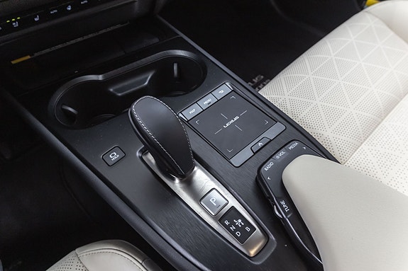 Lexus UX300e 19 of 30