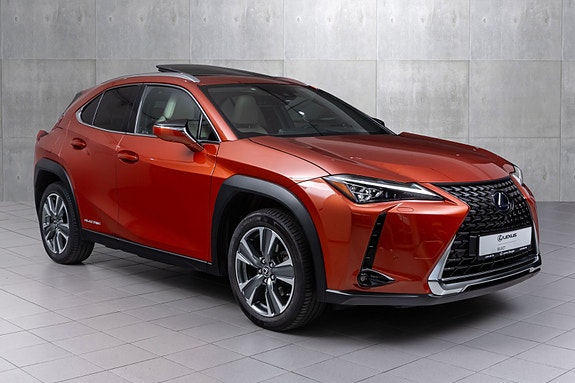 Lexus UX300e 5 of 5
