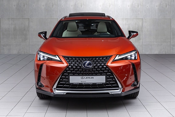 Lexus UX300e 4 of 5