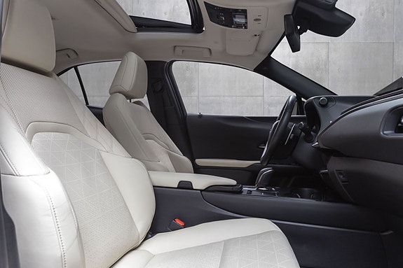 Lexus UX300e 27 of 30