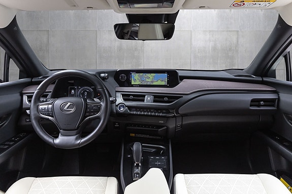 Lexus UX300e 24 of 30