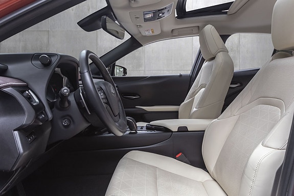 Lexus UX300e 21 of 30