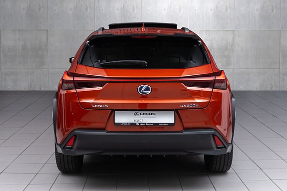 Lexus UX300e 8 of 30