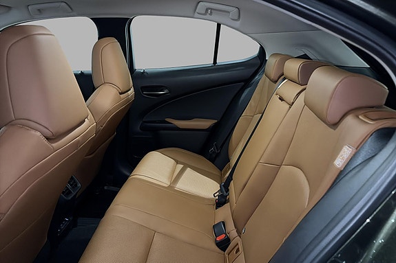 Lexus UX300e 17 of 20