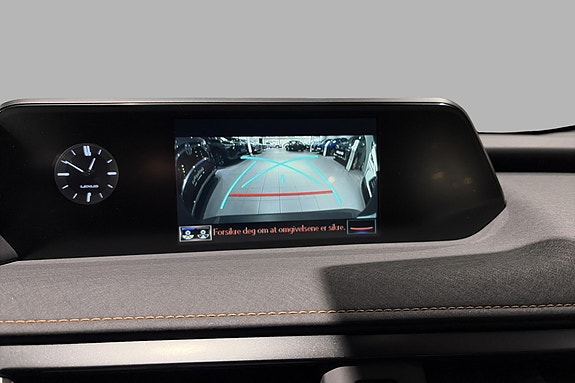 Lexus UX300e 16 of 20