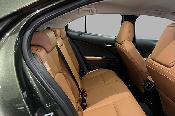 Lexus UX300e 18 of 20