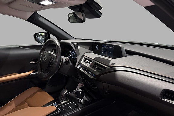 Lexus UX300e 10 of 20