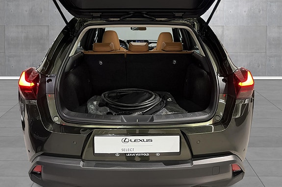 Lexus UX300e 19 of 20
