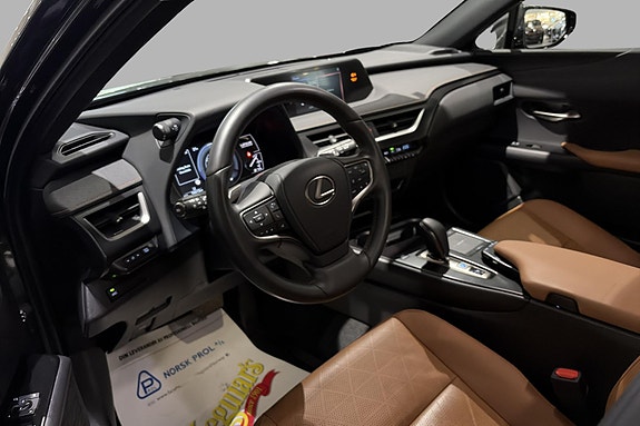 Lexus UX300e 9 of 20