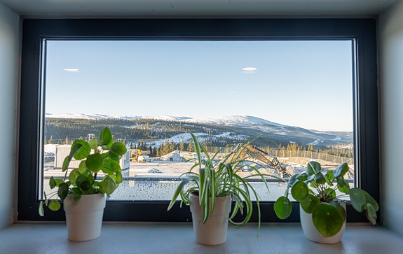 Bilde 3 av 3 i jobbannonse-galleriet