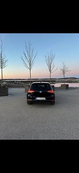 Volkswagen Golf VII 9 of 9