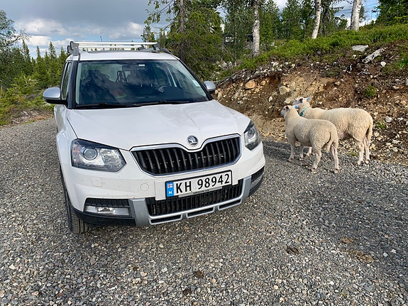 Skoda Yeti 2 of 5