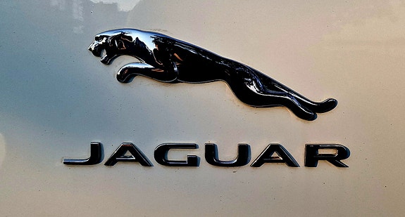 Jaguar I-PACE 7 of 19