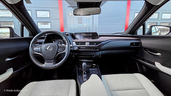 Lexus UX300e 17 of 28
