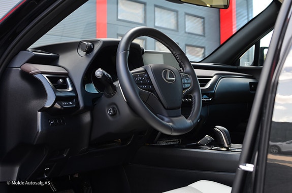 Lexus UX300e 15 of 28