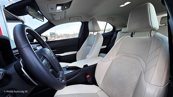 Lexus UX300e 16 of 28