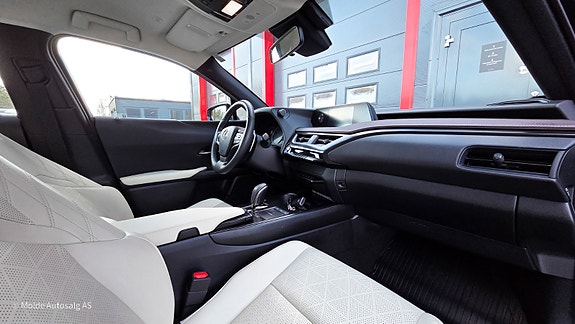 Lexus UX300e 13 of 28