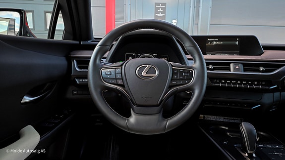 Lexus UX300e 18 of 28