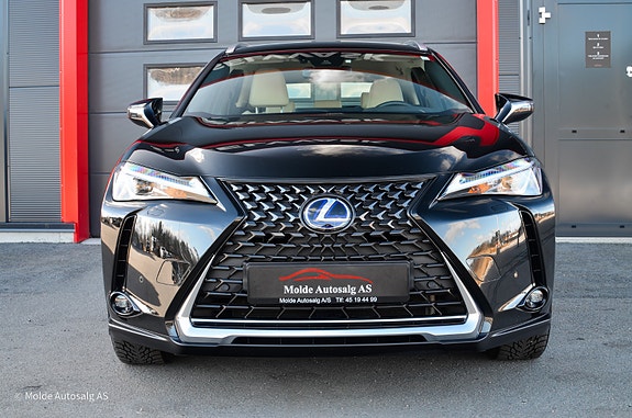 Lexus UX300e 2 of 28