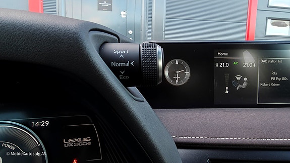 Lexus UX300e 21 of 28