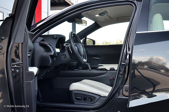 Lexus UX300e 14 of 28