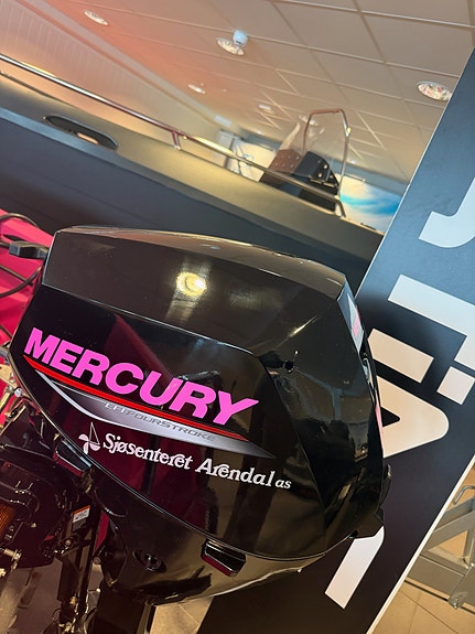 Pioner Go  med Mercury 10 hk. Rosa  Står utstilt hos oss. 19 of 20