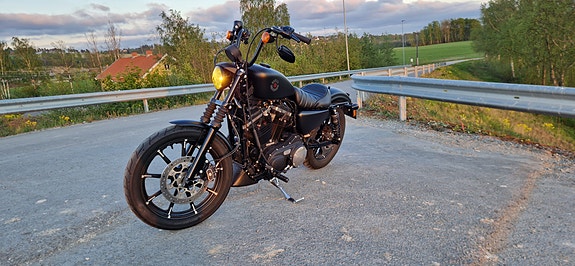 Harley-Davidson XL 883N Iron 3 of 8