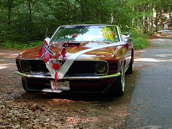 Ford Mustang 18 of 30