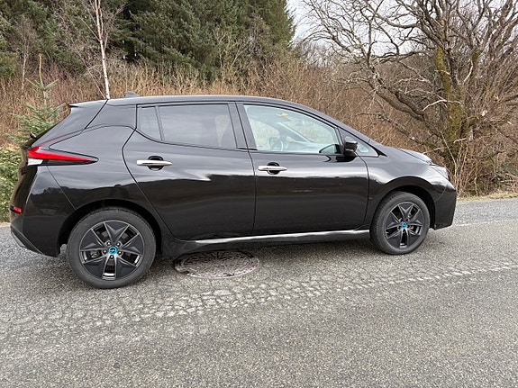 Nissan Leaf 9 of 29