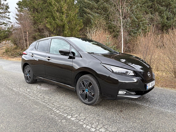 Nissan Leaf 11 of 29