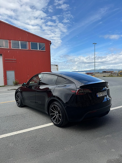 Tesla Model Y 4 of 20