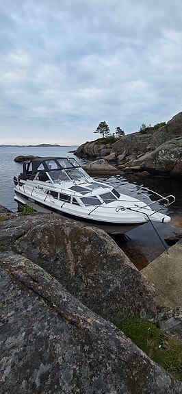 Baltic med 290 yanmar, masse utstyr 17 of 17