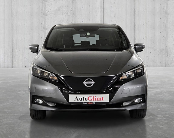Nissan Leaf 15 of 30