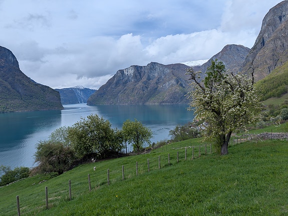 Charter i Sognefjorden med Ocean X 10 of 13