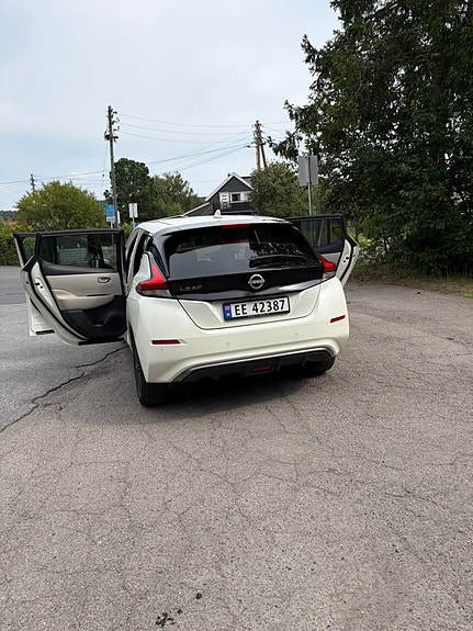 Nissan Leaf 18 of 20