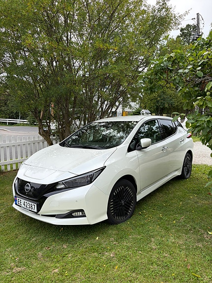 Nissan Leaf 3 of 20