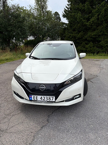Nissan Leaf 9 of 20