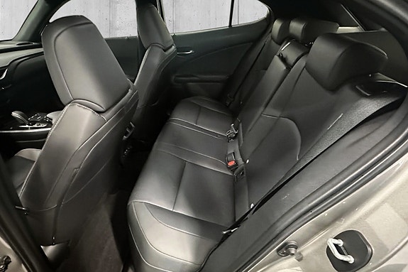 Lexus UX 10 of 15