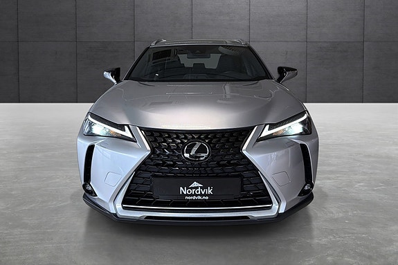 Lexus UX300e 8 of 19