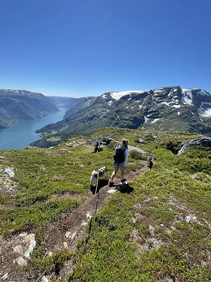 Product image 2 of 9